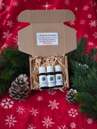 ✨ Není to obyčejný balíček. Je to brána do energie. Do záměru. Do pocitu, který můžeš předat dál. Vytvořila jsem 14...