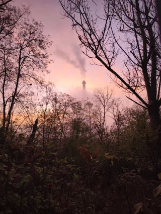 Nemusíš mít jasno, aby ses mohla pohnout dál. Nemusíš vidět celou cestu. Stačí jeden krok. Stačí myšlenka. Stačí se nebát....